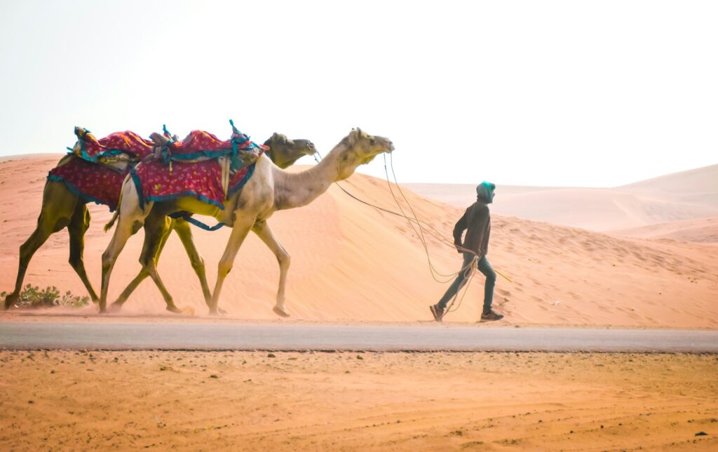 man in blue jacket and black pants standing beside camel on desert during daytime