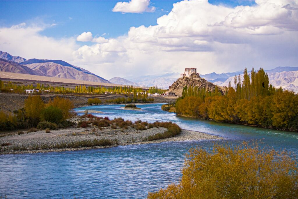 green trees near river under blue sky during daytime