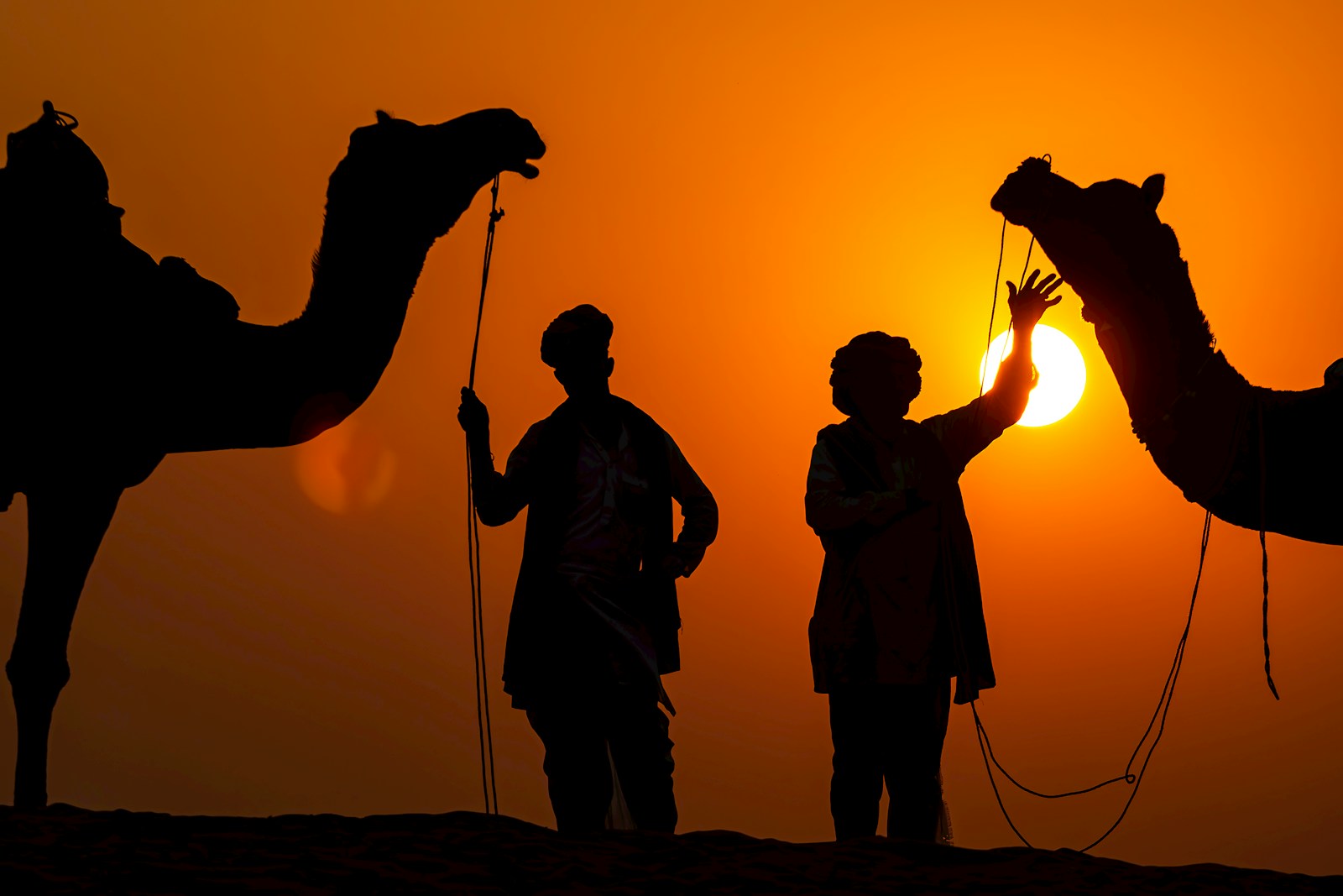a group of people standing next to two camels
